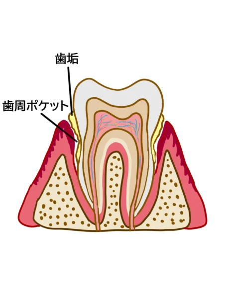 拡大イメージ