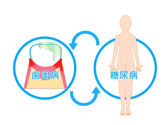 拡大イメージ