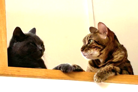 まーちー😺😻 歯医者さんトーク